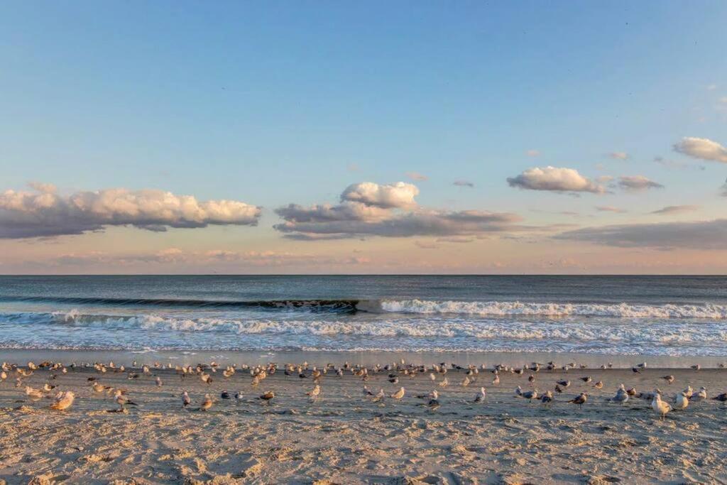 *Top Notch Family Space*Pool*Steps To The Sand*Huge Master*Wt0 Myrtle Beach Exteriör bild